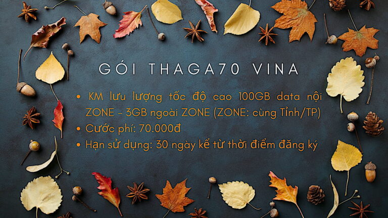 Hướng dẫn cách đăng ký gói THAGA70 vina