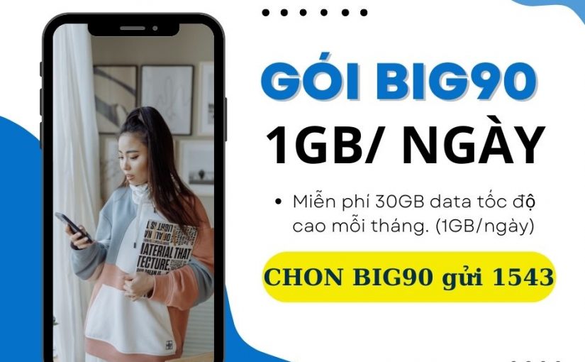 goi-big90-vina