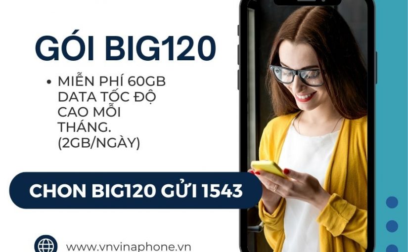 goi-cuoc-big120-vina