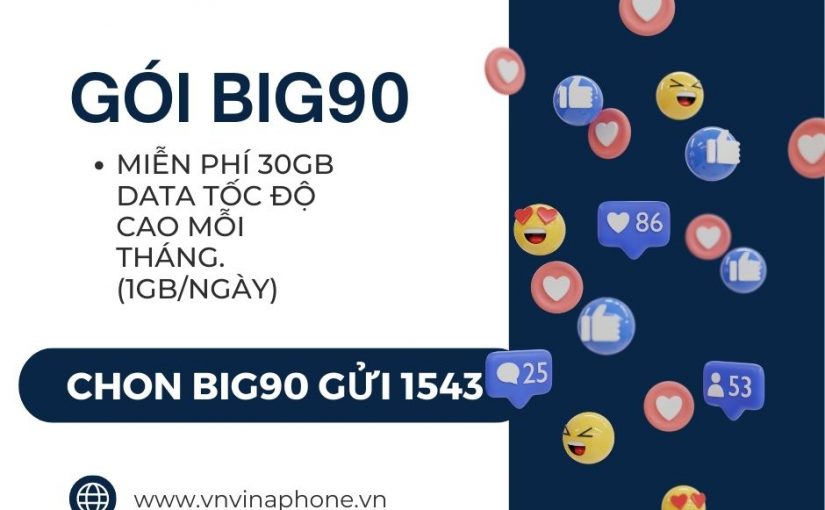 dang-ky-goi-big90-vina