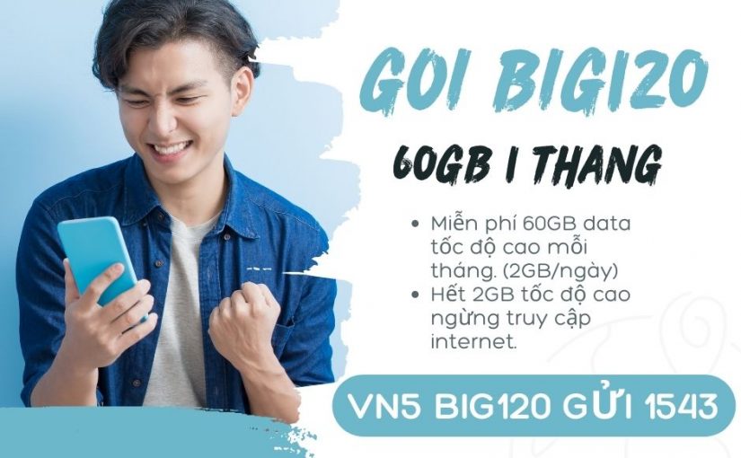 goi-big120-vina